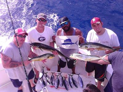 Sailfish, mahi-mahi and tunas