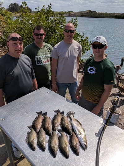 Mangrove Snappers and Trout are on the menu