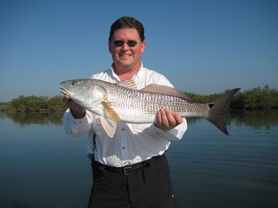 Sweet Sight Fished Red On A Small Crab