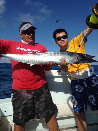 Wahoo Caught Kite Fishing