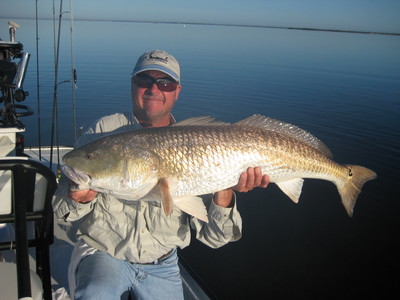 redfish