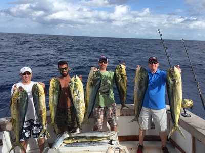 Great catch of mahi mahi caught on our sportfishing charter
