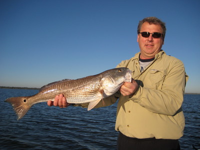 Nice Mosquito Lagoon Redfish!
