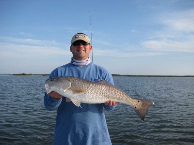 Sweet Mosquito Lagoon Redfish!