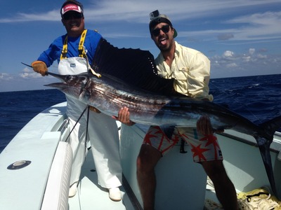 First Sailfish