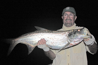 Miami Tarpon