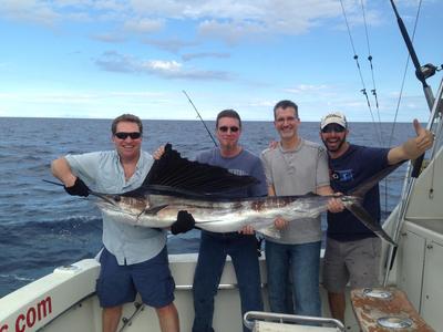 Sailfish are biting