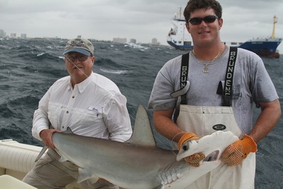 Hammer Head Shark Caught On Mono