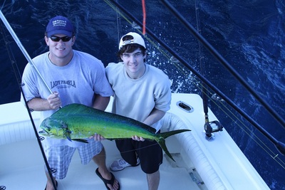 Mahi Mahi Lady Pamela 2