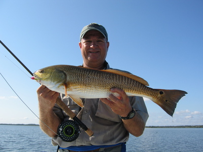 Another Nice fly red.