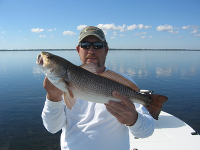 Another Nice Fly-caught redfish!