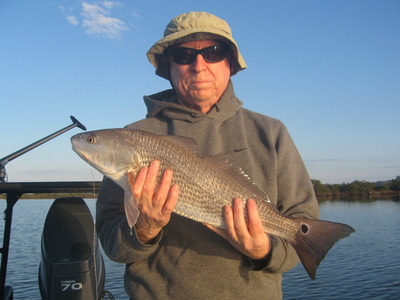 Another Mosquito Lagoon Red.
