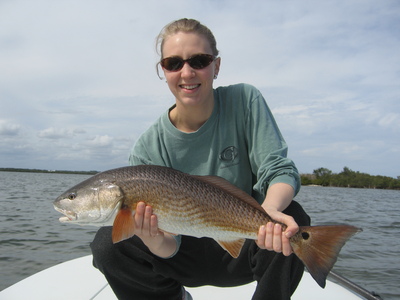 Indian River Redfish