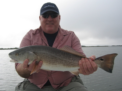Mosquito Lagoon Redfish