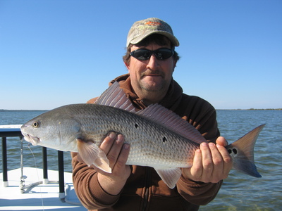 Florida Redfish