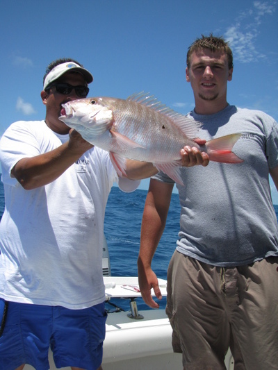 Nice Miami Mutton Snapper