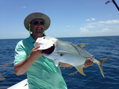 Jack Crevalle