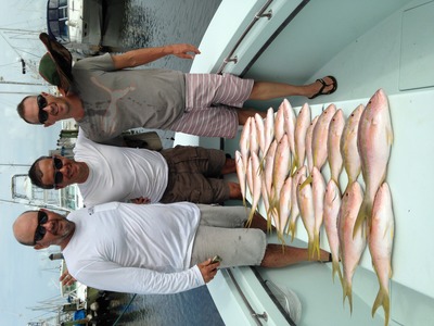 Nice Haul of Yellowtail