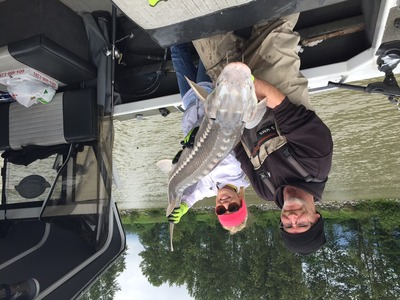 5 ft Fraser Sturgeon