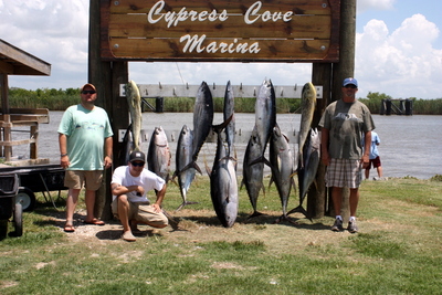 Last 24 hr trip in the Gulf