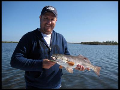 Mosquito Lagoon Redfish