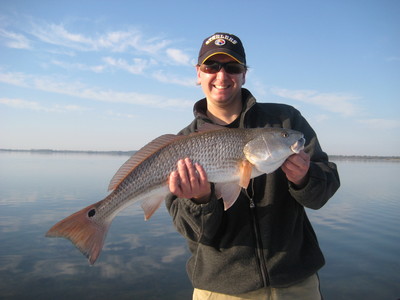 Beautiful Sight Fished Redfish