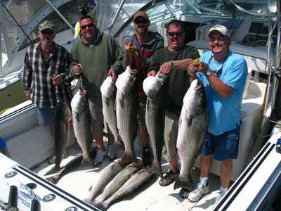 Chris Pugh Charter with Striped Bass limit