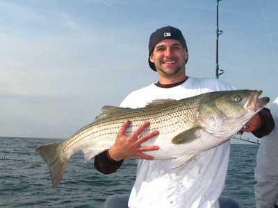 37# Striped Bass