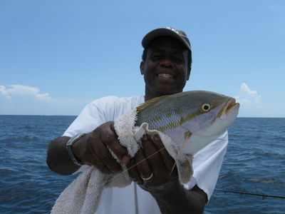 Miami Bottom Fishing Charter