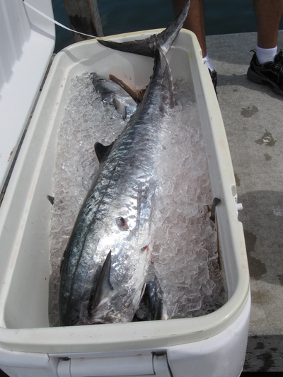 Big Kingfish tops a full cooler