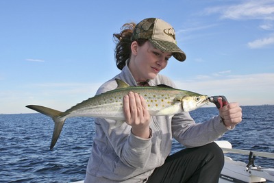 Another Giant Inshore Spanish Mackerel