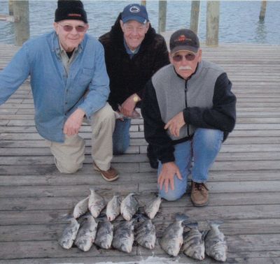 Jim Flynn, Dave Collingwood & Wayne Wilson