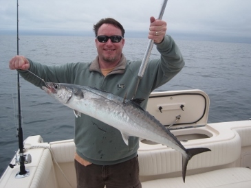 37-inch kingfish, on a pinfish