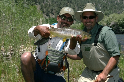 Nice Brown C&R on the East Walker