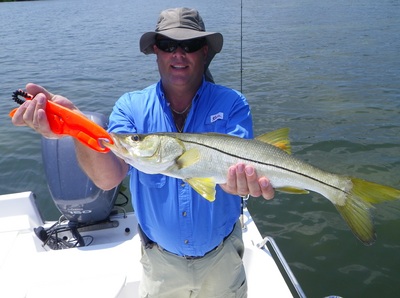 Jim's Snook
