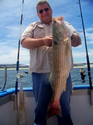 Jims 22 pounder