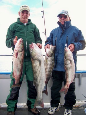 Jim and the pool fish