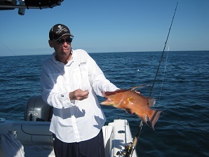 18-inch hogfish on shrimp