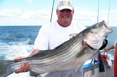 Joe Handly/Pool Fish