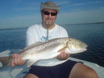 Joe Larosa's Top Dog, Jr. red