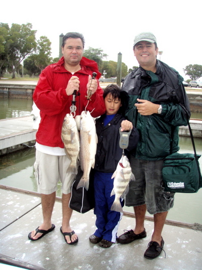 Flamingo Black Drum and Redfish