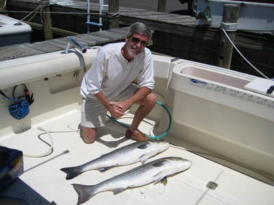 just the 2 we were having for dinner