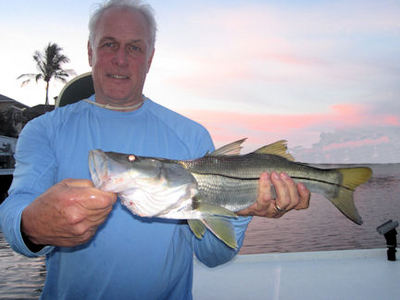 Jon Grimes Sarasota Bay Grassett Snook Minnow fly snook