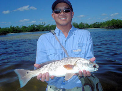 Jon Yenari's Gasparilla Sound fly red