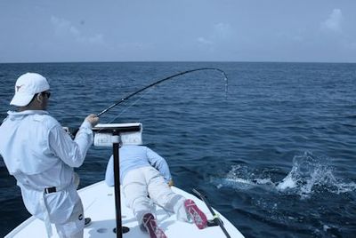 Capt. Rick Grassett landing Josh Notari's Sarasota DOA Baitbuster tarpon