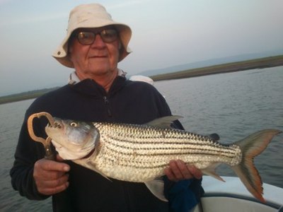 5Kg (11lb) Jozini Tiger Fish