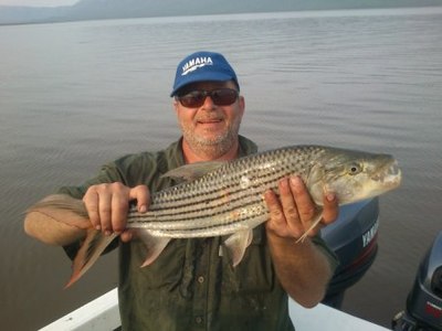 4Kg 9lb) Jozini Tiger Fish