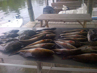 Amy and family  July 5th