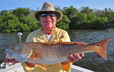 Matlacha Pass redfish