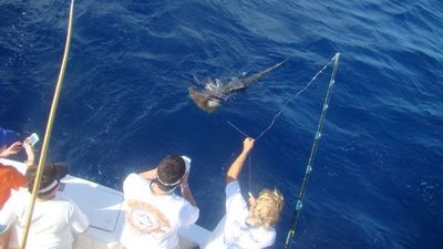 Captain Taco (954) 764-4344 or toll free @ (877) SEA-4344 tacohookedup@aol.com